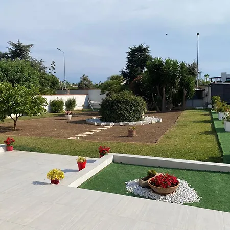 Peonia Elegance ביצ'לייה