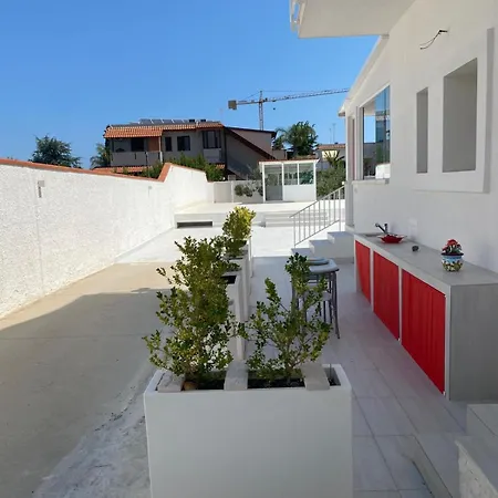 Peonia Elegance * ביצ'לייה